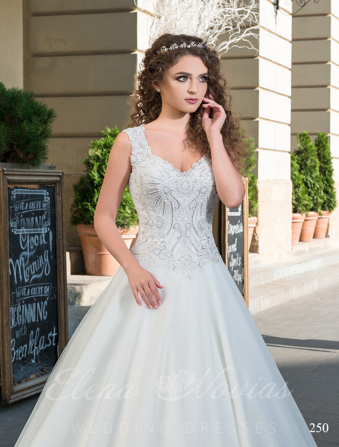 Wedding dress with V-shaped neckline model 250